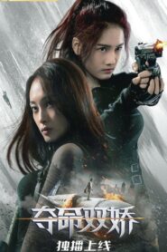 Blood Rose 2020 on netflix