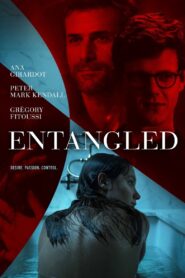 Entangled 2019 on netflix