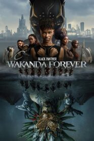 Black Panther: Wakanda Forever 2022 on netflix