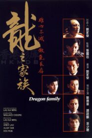 The Dragon Family 1988 on netflix