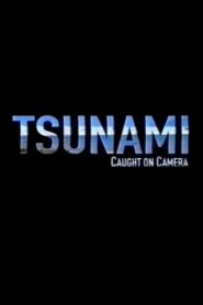 Tsunami: Caught on Camera 2009 on netflix