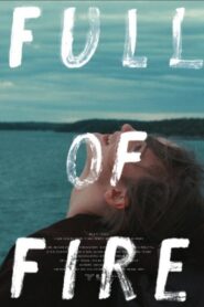 Full of Fire 2020 on netflix