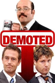 Demoted 2011 on netflix