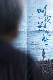 Mr. Zheng 2022 on netflix