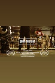 Born to Fight 2022 on netflix