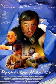 Professor Niedlich 2001 on netflix