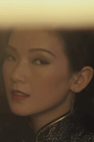 SHOOTING PAMELYN CHEE 2010 on netflix