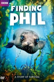 Finding Phil 2016 on netflix