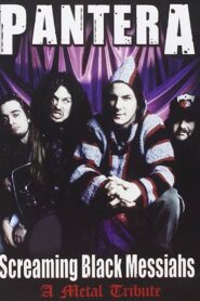 Pantera: Screaming Black Messiahs – A Metal Tribute 2008 on netflix