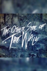 The Other Side of the Wall 1982 on netflix