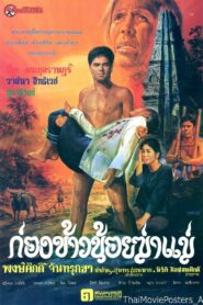 ก่องข้าวน้อยฆ่าแม่ 1980 on netflix