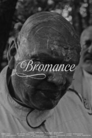 Bromance 2021 on netflix