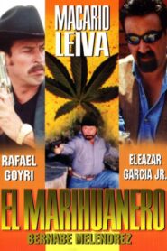 El marihuanero 1999 on netflix