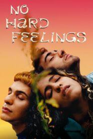 No Hard Feelings 2020 on netflix