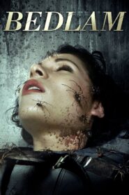 Bedlam 2015 on netflix