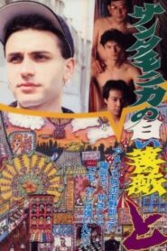 White Rose of Santa Monica: Confused 1993 on netflix
