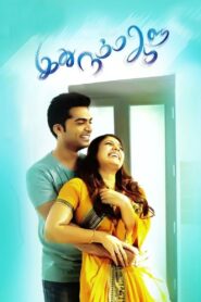 Idhu Namma Aalu 2016 on netflix