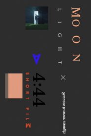 Moonlight 2017 on netflix
