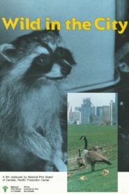 Wild in the City 1986 on netflix