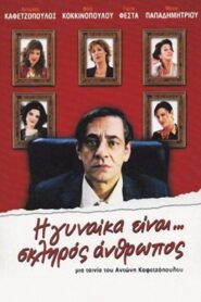 The Woman Is… A Tough Person 2005 on netflix