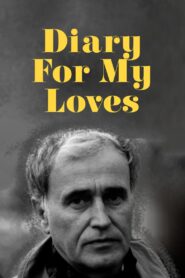 Diary for My Loves 1987 on netflix