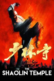 Shaolin Temple 1982 on netflix