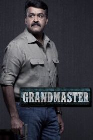 Grandmaster 2012 on netflix