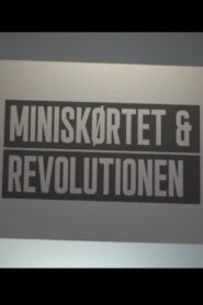 Miniskørtet og revolutionen 2016 on netflix