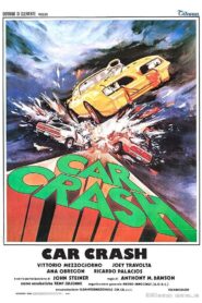 Car Crash 1981 on netflix