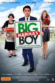 Big Mamma’s Boy 2011 on netflix