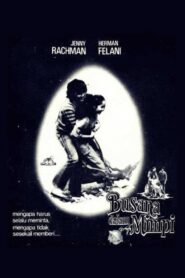 Dream Dress 1980 on netflix