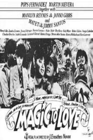 Magic to Love 1989 on netflix