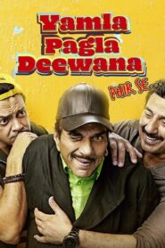 Yamla Pagla Deewana: Phir Se 2018 on netflix