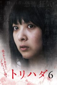 Torihada 6 ~ Yofukashi no anata ni zokutto suru hanashi wo~ 2009 on netflix