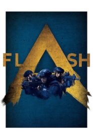 Flash 2020 on netflix