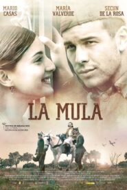 The Mule 2013 on netflix
