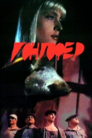 Gongofer 1992 on netflix