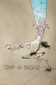 Ship of Theseus 2012 on netflix