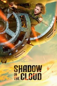 Shadow in the Cloud 2020 on netflix