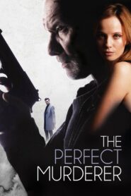 The Perfect Murderer 2017 on netflix