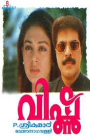Vishnu 1994 on netflix