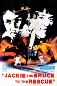 Fist of Death 1982 on netflix