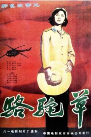 Camel Grass 1983 on netflix