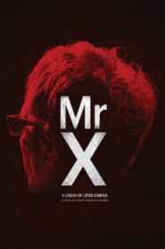 Mr. X 2014 on netflix