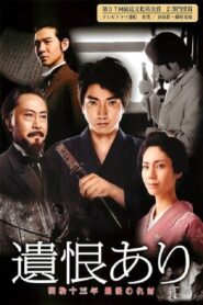 The Last Revenge 2011 on netflix