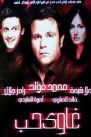 Addicted to Love 2005 on netflix
