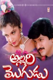 Allari Mogudu 1992 on netflix