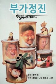 Home Sweet Home 1999 on netflix