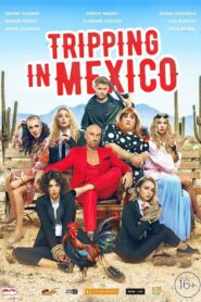 Tripping in Mexico 2019 on netflix