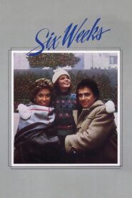 Six Weeks 1982 on netflix